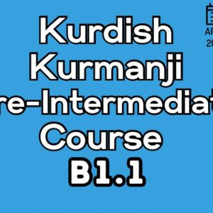 Kurdish Kurmanji PRE-INTERMEDIATE (B1.1) Course (starts on MAY, 2026)